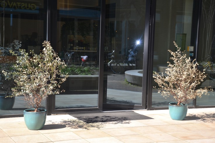 2017-03-22 14.59.37.jpg