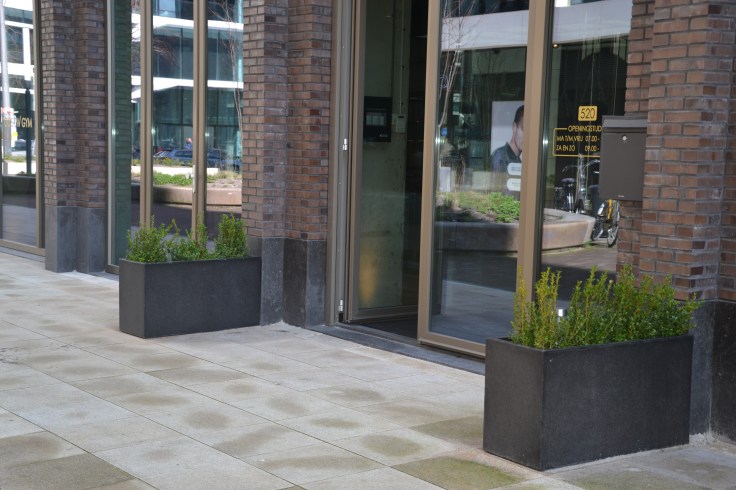 2017-03-22 14.59.49.jpg